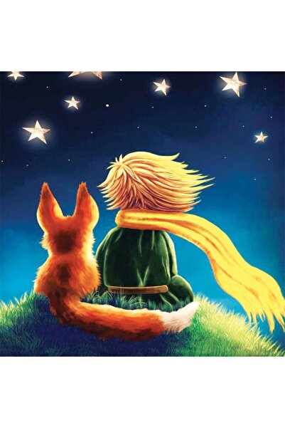 Pastelya Sayılarla Boyama Seti Çerçeveli Kasnaklı Küçük Prens 2 50 X 65 Cm