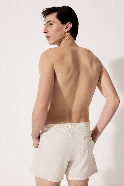 H&M Seersucker Swim Shorts
