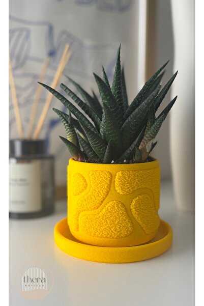 Thera Bottega Mossa Dekoratif Küçük Bitki/sukulent Saksısı - 7.5 Cm Yükseklik (BİTKİ DAHİL DEĞİLDİR.)