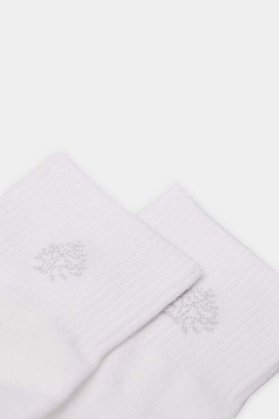 Springfield Ankle Sports Sock