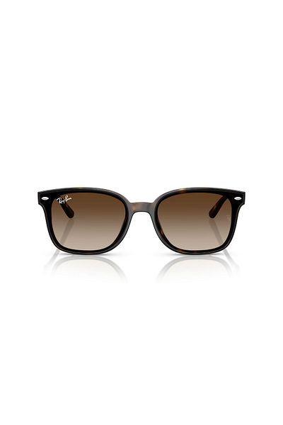 Ray-Ban 0Rb 4461D 710/13 64 Unisex Sunglasses