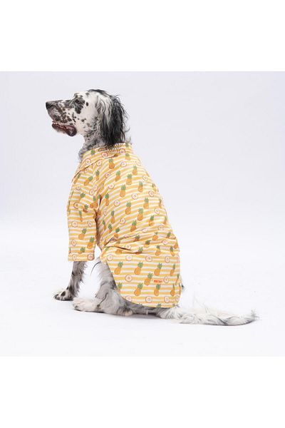 Pawstar Panama Medium and Large Breed Dog Shirt - Dog Clothing (15 Kg-45 kg)