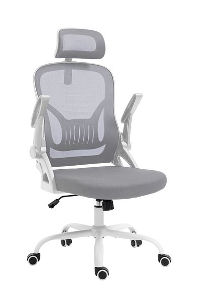 AnneFish Ergonomic Mesh Office Chair Adjustable Lumbar Executive Swivel Computer Chair with Flip-up Armrests