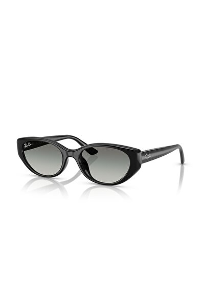 Ray-Ban Sunglasses Rb4457D 55 667711