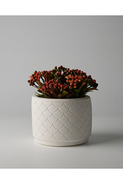 Kaju Creative Dekoratif Beton Saksı - Balık Pulu 8x10 0.25L Küçük Boy Saksı