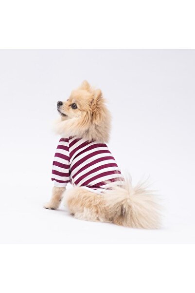 Pawstar Piglet Kedi Köpek Sweati - Kedi Köpek Kıyafeti