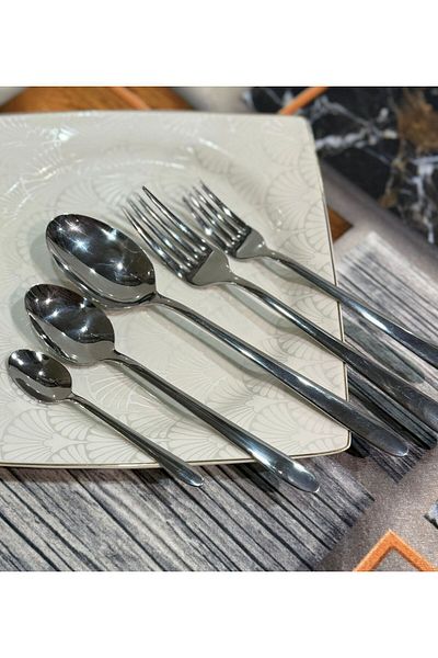 SNL HOME Dilay Napoli 60 Piece Fork & Spoon Set 12 Person Simple Tableware