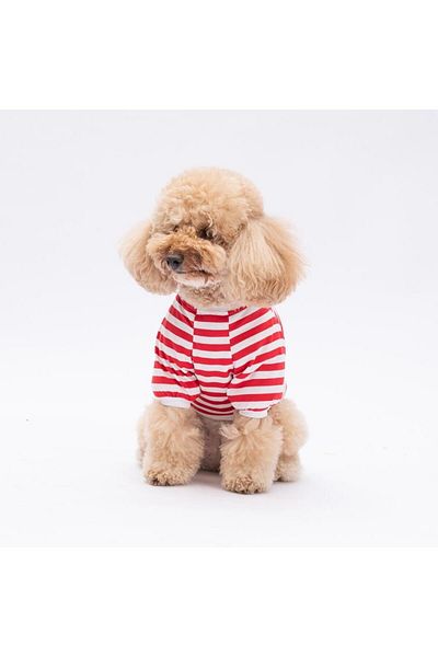 Pawstar Winnie Cat Dog Sweati - Cat Dog Outfit