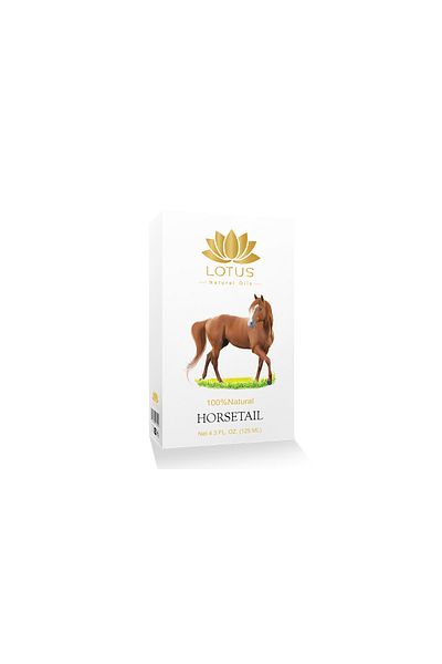 Lotus Natural oils - Fragrance ( Horsetail oil 125 ml )