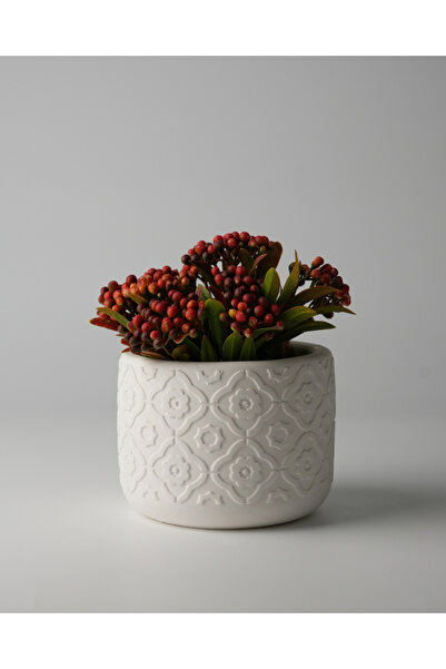 Kaju Creative Dekoratif Beton Saksı - Otantik Çiçek 8x10 0.25L Küçük Boy Saksı