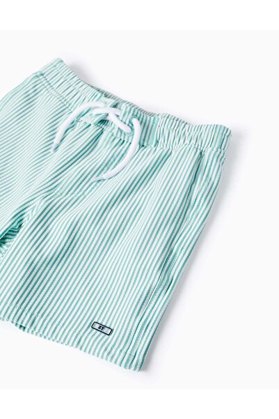 Ziddy Striped Swim Shorts for Boys, Green/White