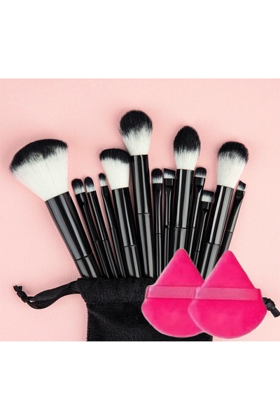 Choice1 Blue 13pcs Makeup Brush Set + Bag,Professional Nylon Bristle, ABS Han...