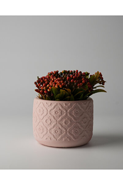 Kaju Creative Dekoratif Beton Saksı - Otantik Çiçek 8x10 0.25L Küçük Boy Saksı