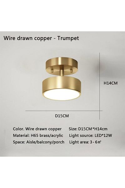 DARHYN Warm White Gold 15cm Modern Led Ceiling Light Copper Lamp For Bedroom Living Room Light Nordic Round