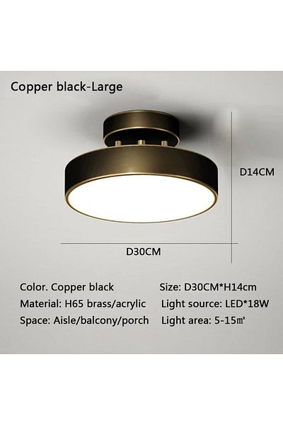 DARHYN Warm White Black 30cm Modern Led Ceiling Light Copper Lamp For Bedroom Living Room Light Nordic Roun