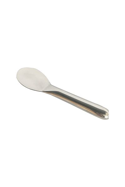 Kitchen Express Ice Cream Spoon Aluminum