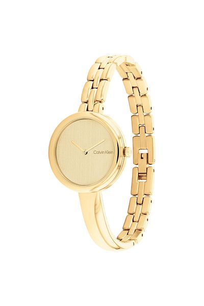 Calvin Klein CK25200279 Women's Wristwatch