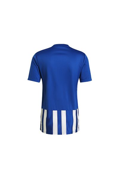 adidas Men's Football Game Jersey - Striped 21 Jsy, GH7321 Blue
