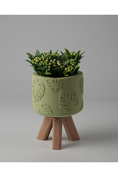 Kaju Creative Dekoratif Beton Saksı -Monstera 7,5x12 0.25L Küçük Ahşap Ayaklı...