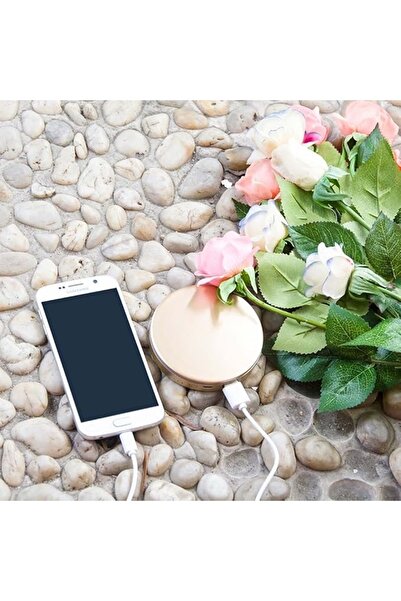 Hyper Compact Mirror Power Bank Gold