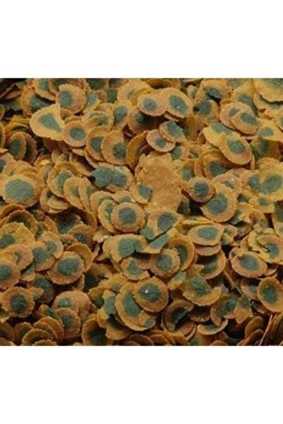 Tetra Pro Algae 100 Gram Bitkisel Balık Yemi