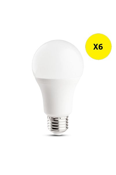 ERS TE X6 - LED bulb A60 8W E27 6400K, Homelight