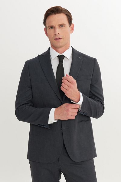 ALTINYILDIZ CLASSICS Men's Smoked Regular Fit Swallow Collar Patterned Wool Suit