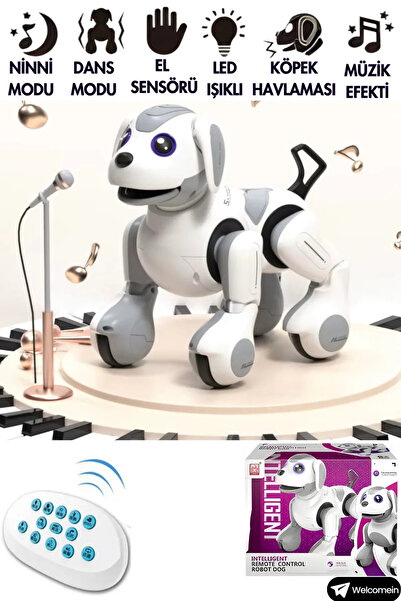 Oruç Oyuncak Oyuncak 2.4 GHz Full Fonksiyon Uzaktan Kumandalı Şarjlı El Sensörlü İnteraktif Akıllı Robot Köpek