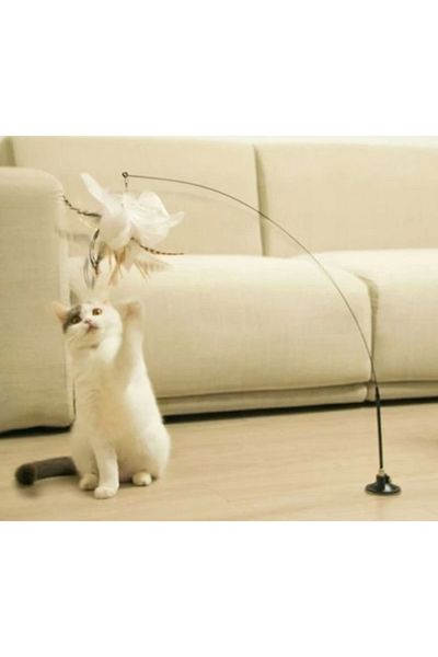 AC BOX Cat Play Rod with Suction Cup and Feather Bell