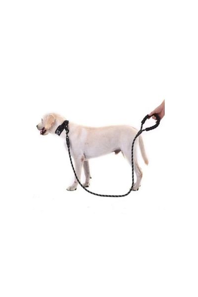 AC BOX Reflective Dog Collar 130 Cm