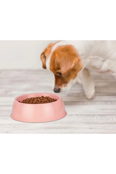 AC BOX Mikopet Small Round Food Container