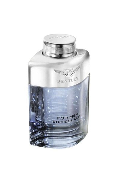 Bentley Silverlake perfume for men 100 ml for men