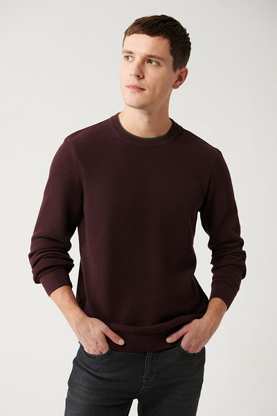 Avva Men's Burgundy Double Collared Textured Knitwear Sweater A32Y5100