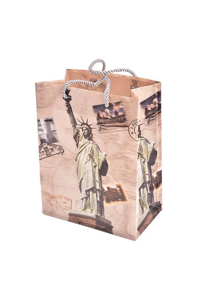 Generic Plastic gift bag with handles