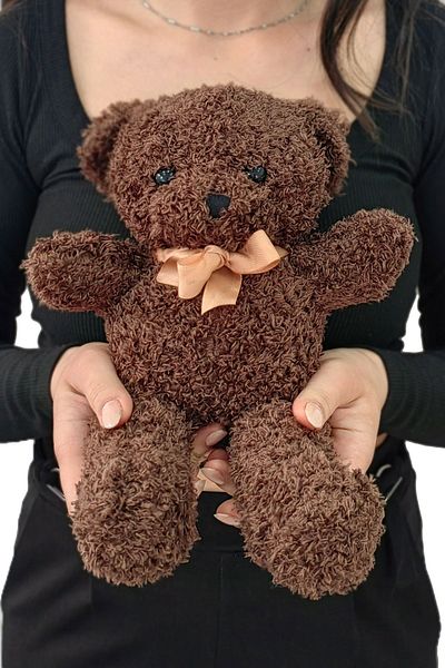 Chavin 30 cm Dark Brown Gift Plush Toy Teddy Bear Bear-01