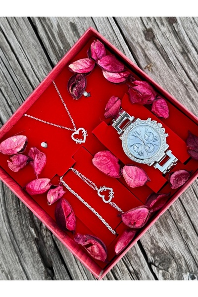 DEEPWELL Kadın Kol Saati Kolye Bileklik Küpe Seti P12-10
