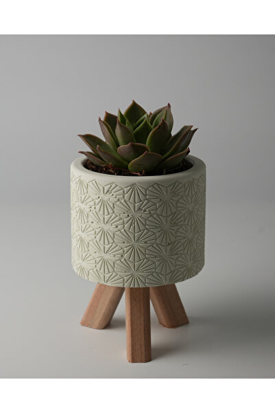 Kaju Creative Dekoratif Beton Saksı - Karo Çizgi - Açık Yeşil