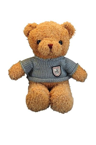 Chavin 30 cm Brown Gift Plush Teddy Bear Bear-02