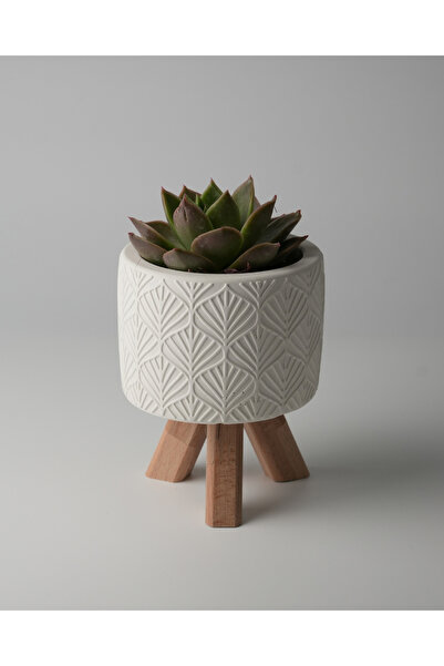 Kaju Creative Dekoratif Beton Saksı - Yaprak - Beyaz