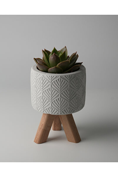 Kaju Creative Dekoratif Beton Saksı - Yaprak - Gri