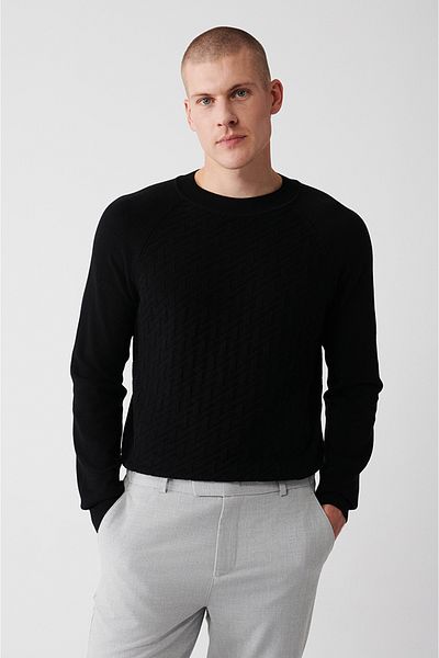 Avva Men's Black Crew Neck Raglan Sleeve Knitwear Sweater A32Y5155