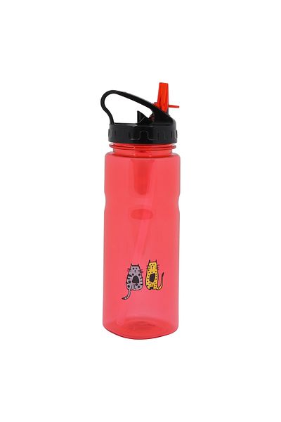 Biggdesign Cats Tritan Flask 650 ml Red