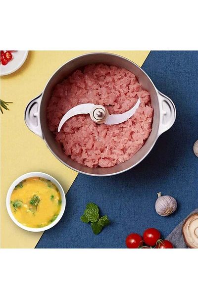 COOYA 2L electric meat grinder, stainless steel, removable, two-speed adjustment, easy to clean, green