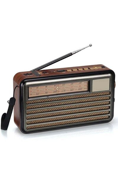 Denx راديو عالي الدقة، FM/AM/SW، مشغل USB/TF/BT، بطارية قابلة لإعادة الشحن