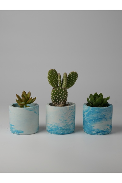 Kaju Creative Dekoratif Beton Saksı - Mini Sukulent - Kaktüs ve Sukulent Bitk...