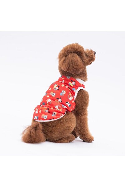 Pawstar Holiday Dogs Kedi Köpek Tişörtü - Kedi Köpek Kıyafeti