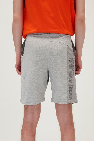 Bad Bear Display Men's Shorts