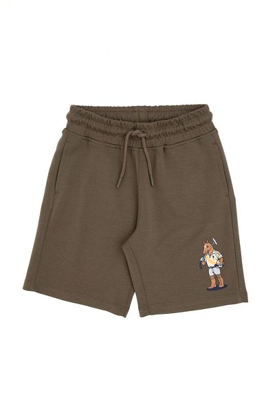 U.S. Polo Assn. Boy's Mink Knitted Shorts 50301138-Vr052