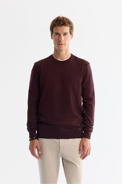 Avva Men's Claret Red Crew Neck Textured Knitwear Sweater E 005107