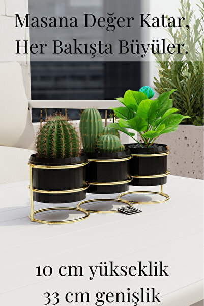 mba decor metal bending art Modern Altın Detaylı 3'lü Metal Ayaklı Kaktüs Sukulent Saksı Seti – Dekoratif İç Mekan Saksılık